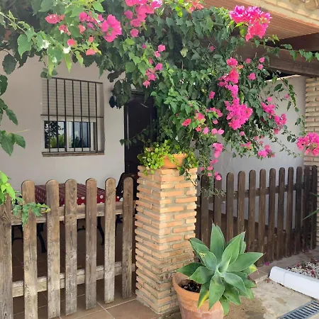 El Mayorazgo Apartment *